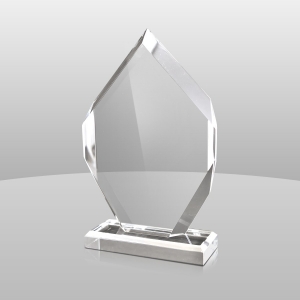 Premium-Qualität benutzerdefinierte Acryl Trophy Award 
