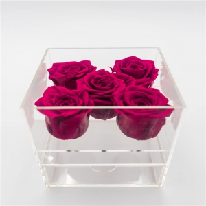 Delux Boutique 12 Acryl Rosen Box für lange Stiele Blumen 