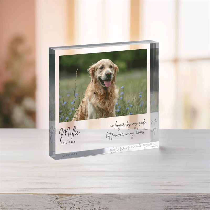Custom Pet Memorial Acrylic Plaque