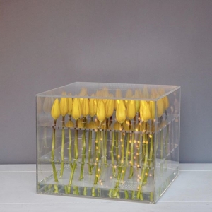 Großhandel wasserdichte Acryl Blume Aufbewahrungsbox Rose Verpackungsbox 