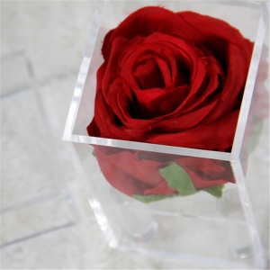 Wasserdichte Mini-Einloch-Rosenkästen für schönes Geschenk 