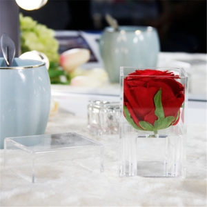 Luxus wasserdichte Mini 1 Rosenboxen für Hochzeitsereignis 