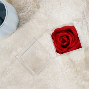 Luxus wasserdichte Mini 1 Rosenboxen für Hochzeitsereignis 