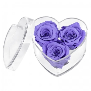 Luxus klar Nerven geformte Acryl rose Blume Plexiglas-box Geschenk-box 