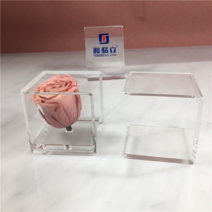 abnehmbarer quadratischer Mini-Acryl-Rosenblumenkasten 