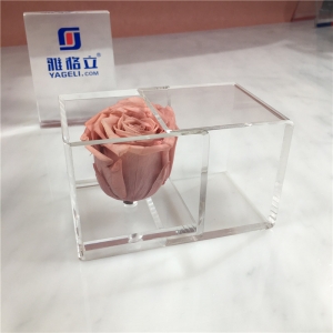 Großhandel klar Mini Acryl Blumenkasten für Rose 