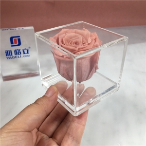 abnehmbarer Acryl-Rosenblumenkasten im neuen Stil 