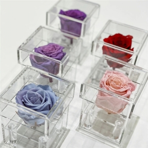 Mini klare Acryl Rose Box Plexiglas Blumenetui 