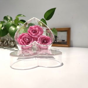 maßgeschneiderte herzförmige klare 3 Löcher Acryl Rose Blumenkasten 