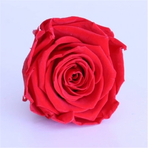  2021 Heiße Muttertagsgeschenke für immer Grad Ein ewige, konservierter Rose-Blumen-Knospen-Kopf 