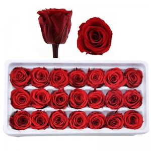  2021 Heiße Muttertagsgeschenke für immer Grad Ein ewige, konservierter Rose-Blumen-Knospen-Kopf 