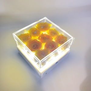  Yageli neue Luxus Acryl Blumenkasten Weihnachtsgeschenkbox mit LED-Licht 