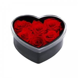 Schwarzes Herz geformt 6 Löcher Acryl Rose Blumenkästen zum Verkauf 