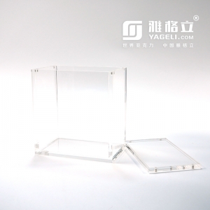 Eliter Trainer Box Acryl-Vitrine 