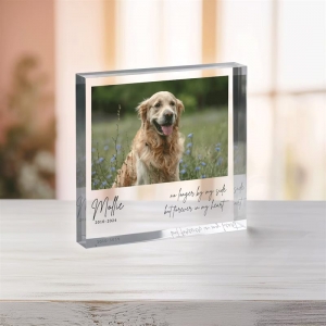 benutzerdefinierte Haustier -Gedenk -Acrylfoto Plaque