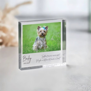 OEM -Acryl -Fotorahmen Blockgeschenke für Jubiläen 
