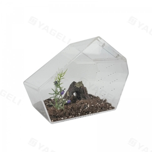 Acryl-Sargkrippe Springspinne Terrarium 