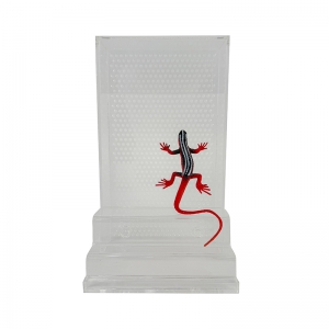 Acryl-Gecko-Gehäuse mit benutzerdefinierten Optionen 