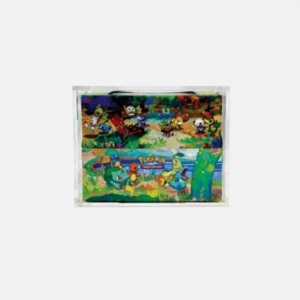 Großhandel Pokemon Mini 8 Zinn Acryl Fall 