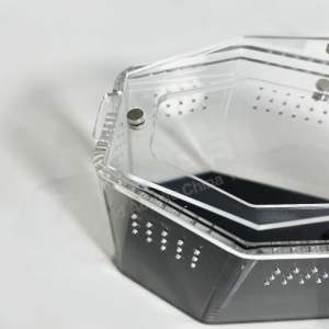 UV-beständiges Spinnengehäuse aus Acryl mit schwarzer Rückseite 