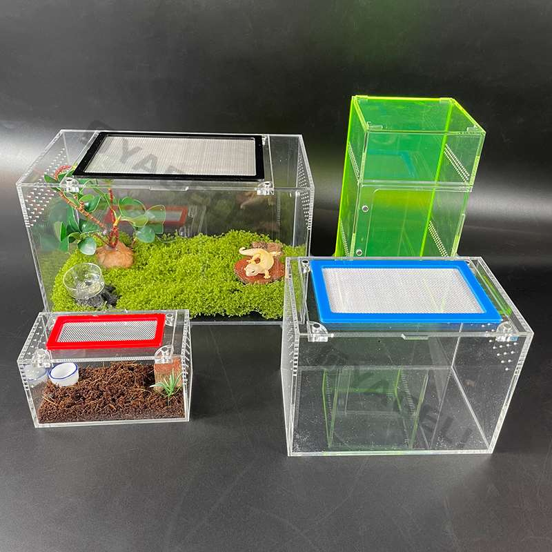 Brancheneinblick: Acryl-Tiergehege definieren Präsentation und Funktion für exotische und kleine Haustiere neu